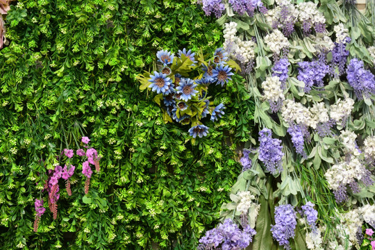 绿植墙 城市中的自然画卷