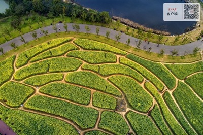 百公里东湖绿道再添“新花样”，150多种花卉打造梦幻花径