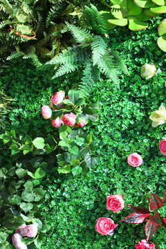 城市绿洲 探索绿植墙的魅力与营造技巧